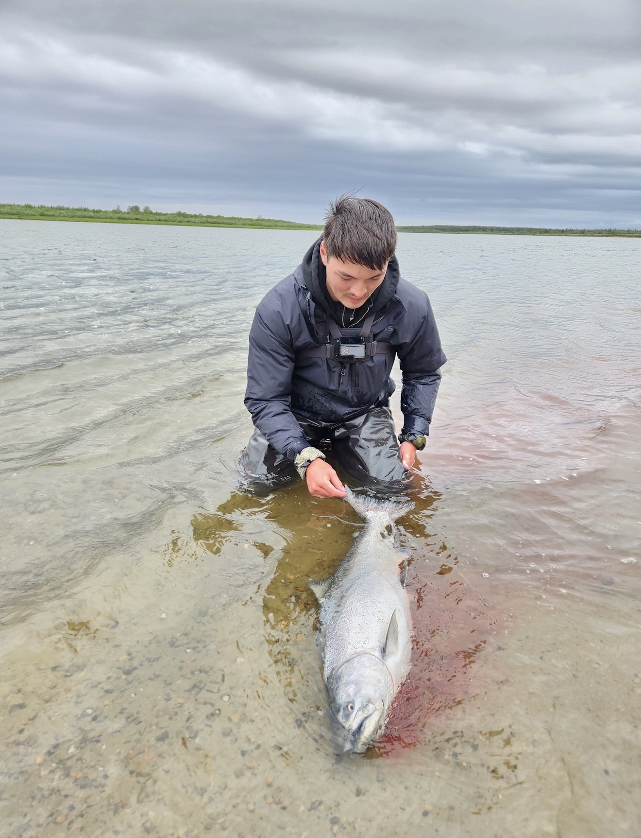 Captain Judd releasing a bright silver salmon back into an Alaska river