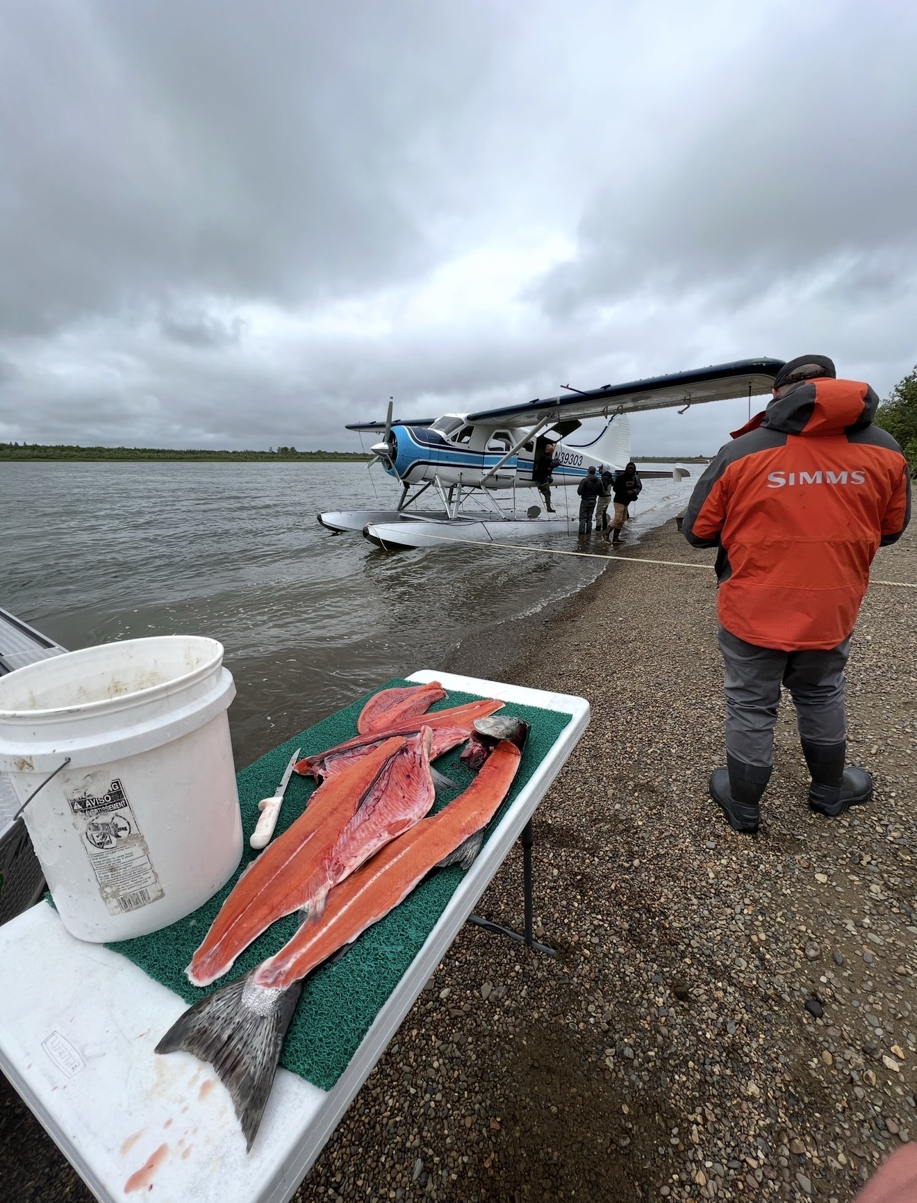 Fresh salmon fillets on the cleaning table beside a float plane on the river