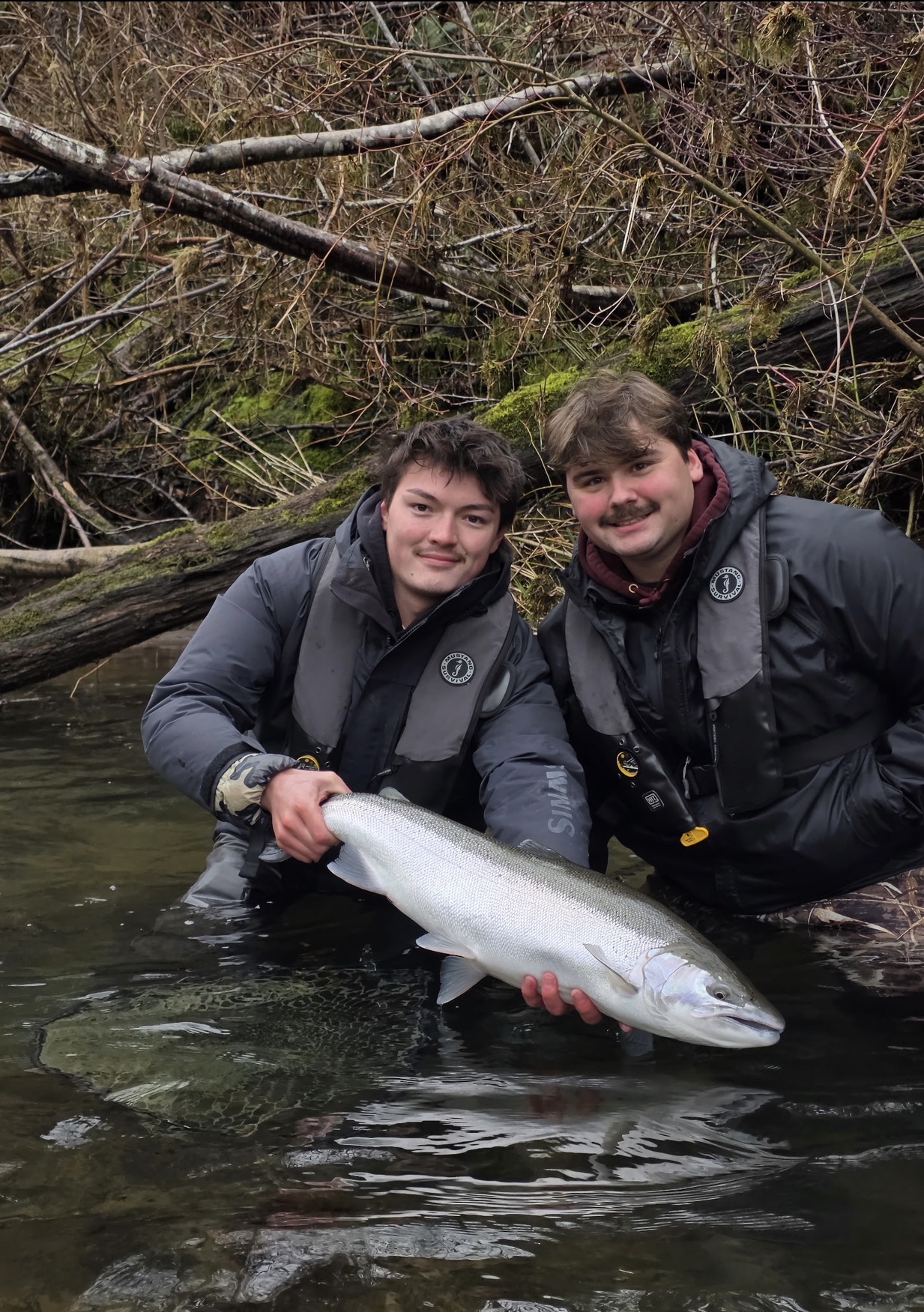 Two anglers kneeling in the river with a chrome wild steelhead