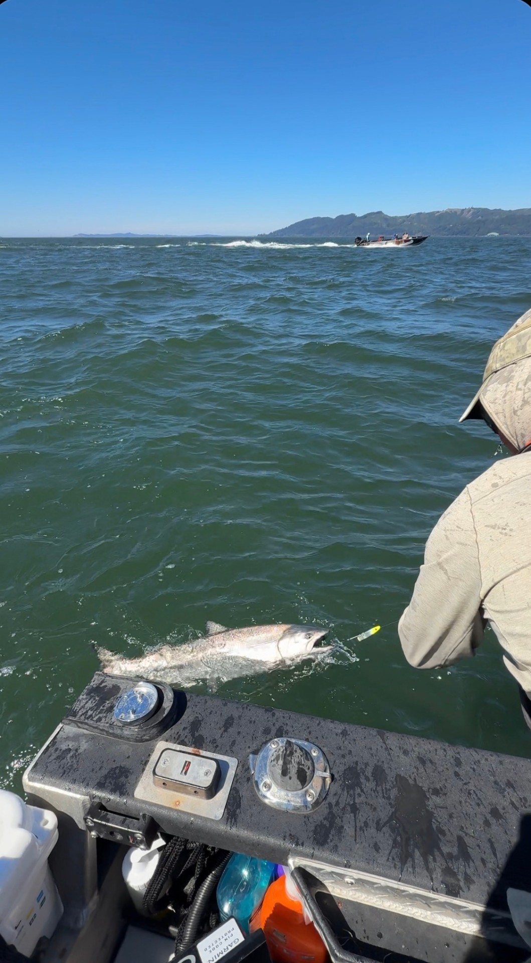 A salmon splashing at boatside during the fight on open water