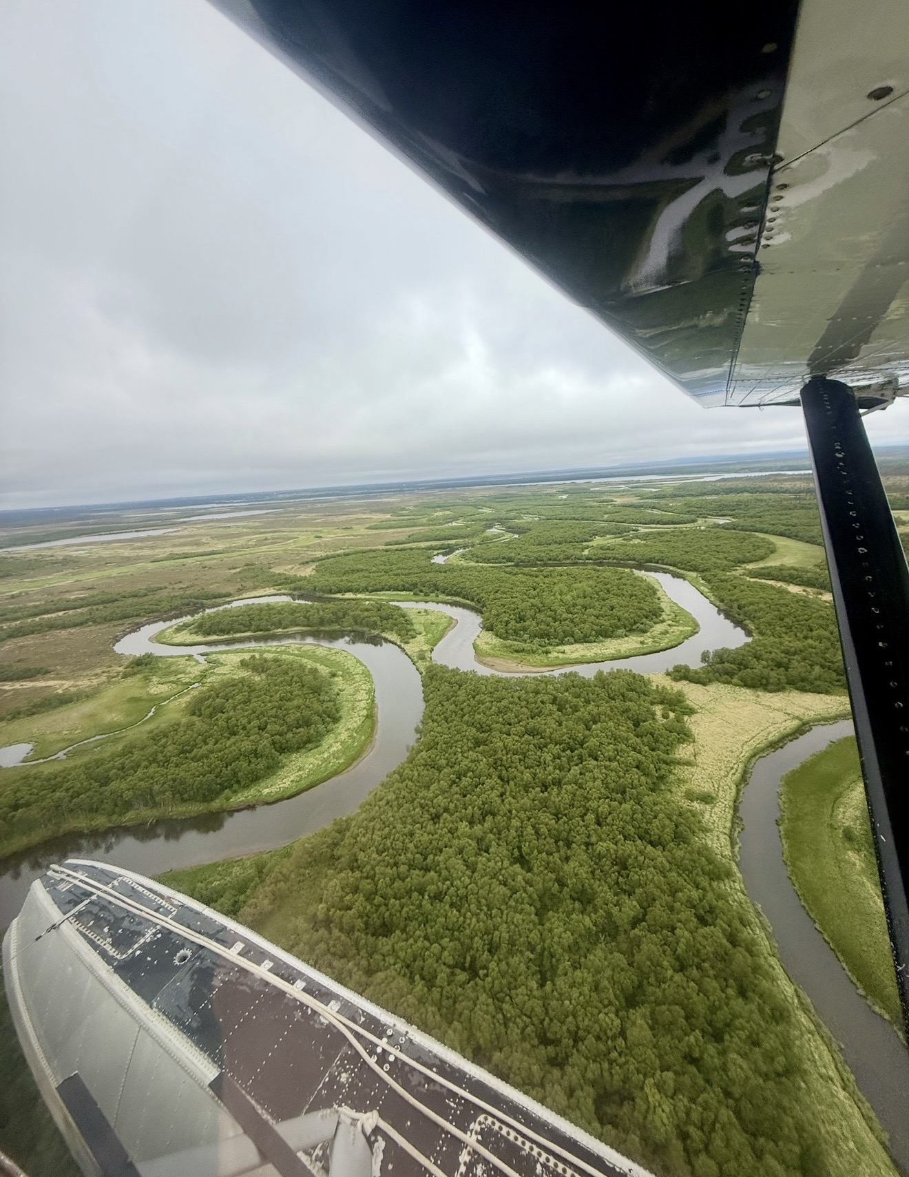 Aerial view of winding Alaska rivers from a float plane wing