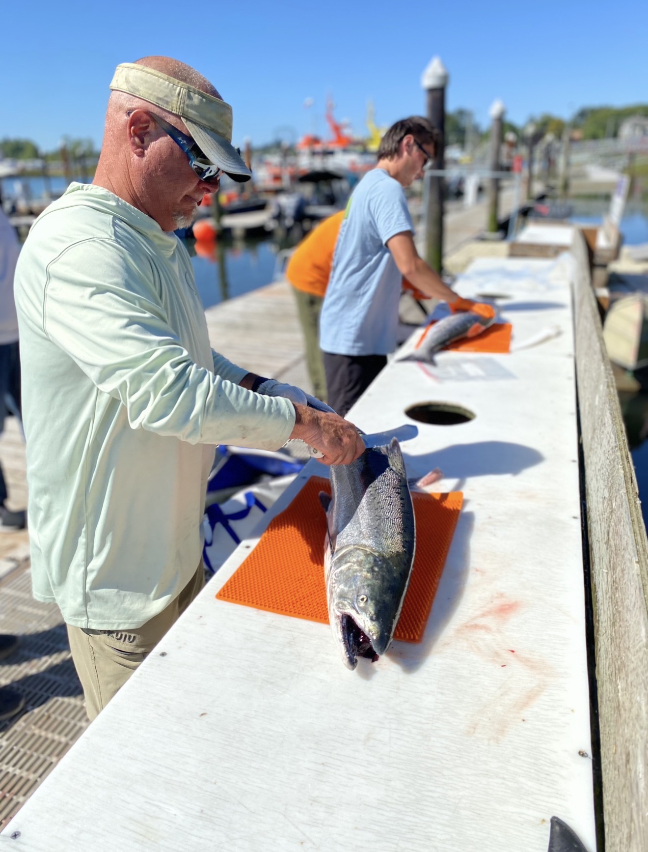 Angler filleting a fresh Chinook salmon at the dock cleaning station